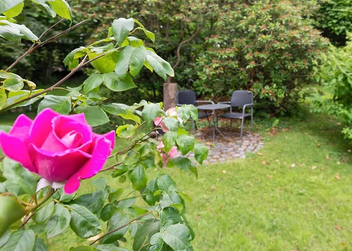 Tine * Husum (Schleswig-Holstein)